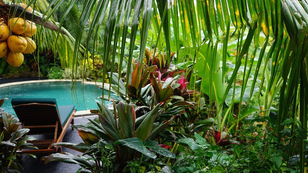 West Bali Villas-Umasari Resort Negara  Exterior foto